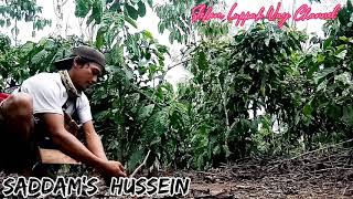 Pikat Cengkram. Saddams Hussein Luppak Way