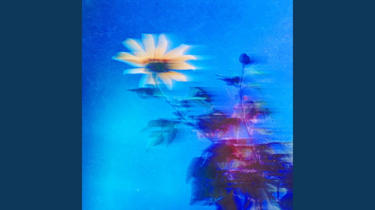 Watch sunflower speed on YouTube Watch sunflower speed on YouTube
