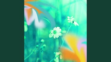 Alluring Music for Forgetting Vision