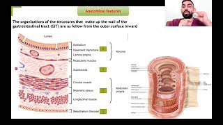 GIT Physiology (Dr.Yousif Abbas) Lec.1 part1