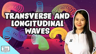 Transverse and Longitudinal Waves | Physics