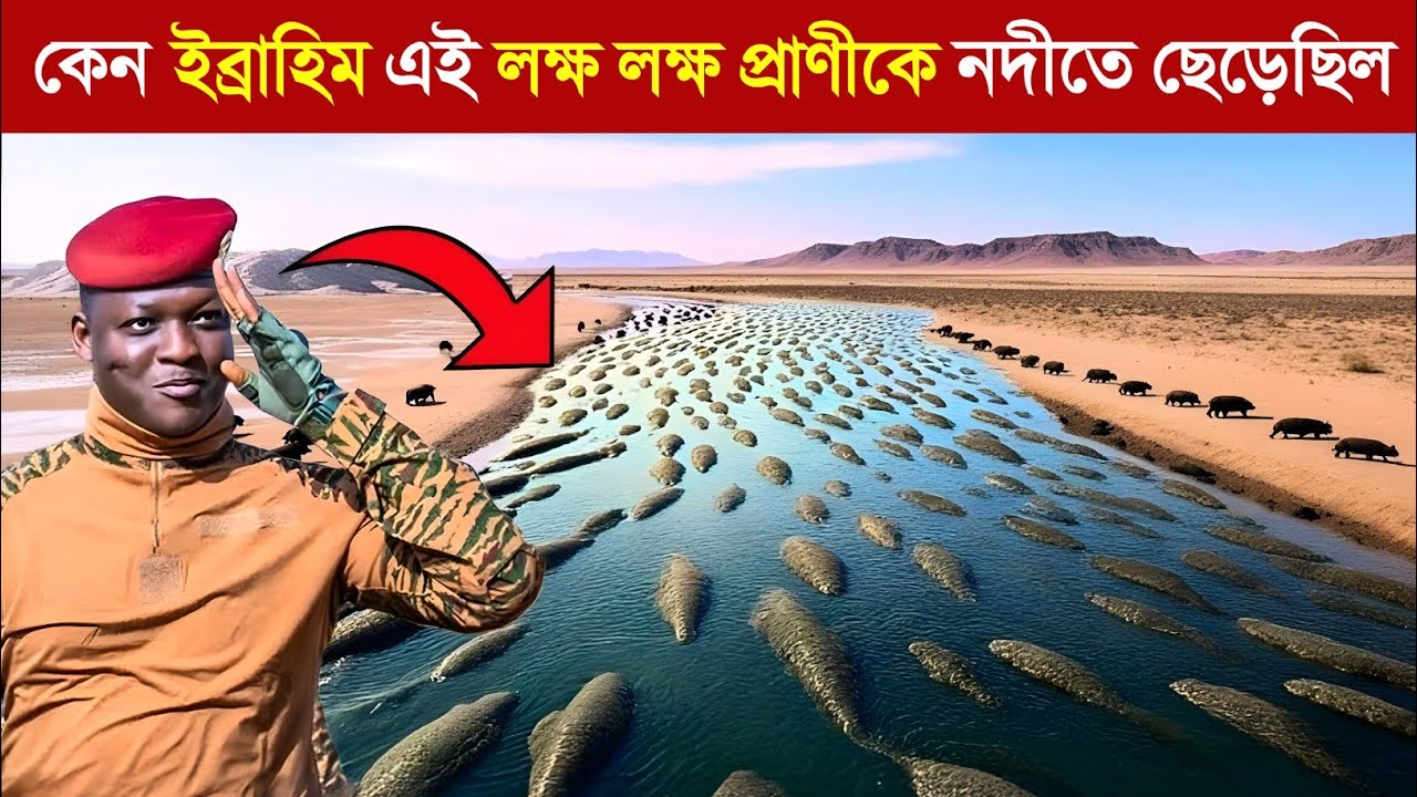প্রযুক্তি নয় ! একটি প্রাণী ফিরিয়ে দিল নদীর জীবন 😱 || Why Ibrahim Released Animals Into a River