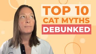 Top 10 Most Popular Cat Myths Debunked (By a Vet)