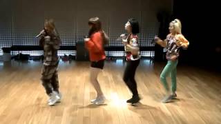 2NE1 'Do You Love Me' mirrored Dance Practice