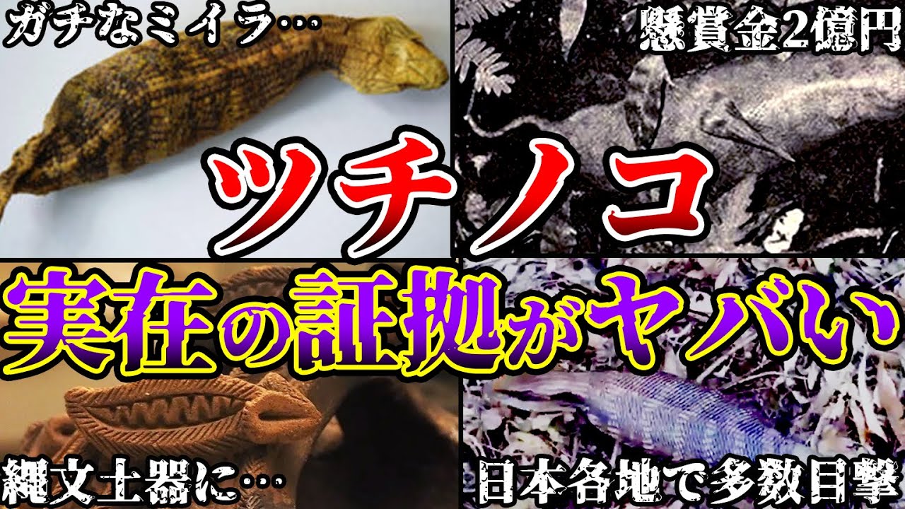 UMA 未確認動物 ツチノコ : masakatsu_agito1のblog