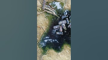 How does the capsule dissolve in water #youtubeshorts #medicalstudent #experiment