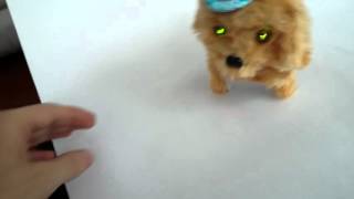 perro juguete electronico camina sonido y lucz 145736 