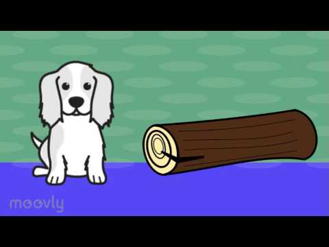 the dog log video youtube dog log