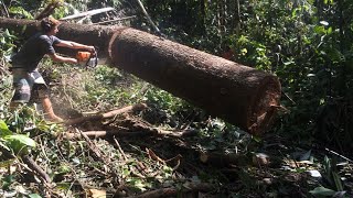 2014 - Milling lumber in Kaje for house building.