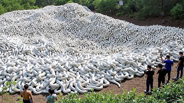 100 Strange Things Happening Right Now Around the World Caught on Camera #4