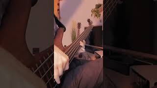 Reggae bass groove 🔥🌴 #bass #octave #warwick #heband #czechmusic