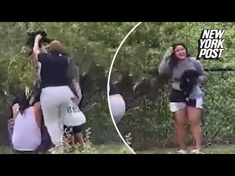 YouTube video thumbnail