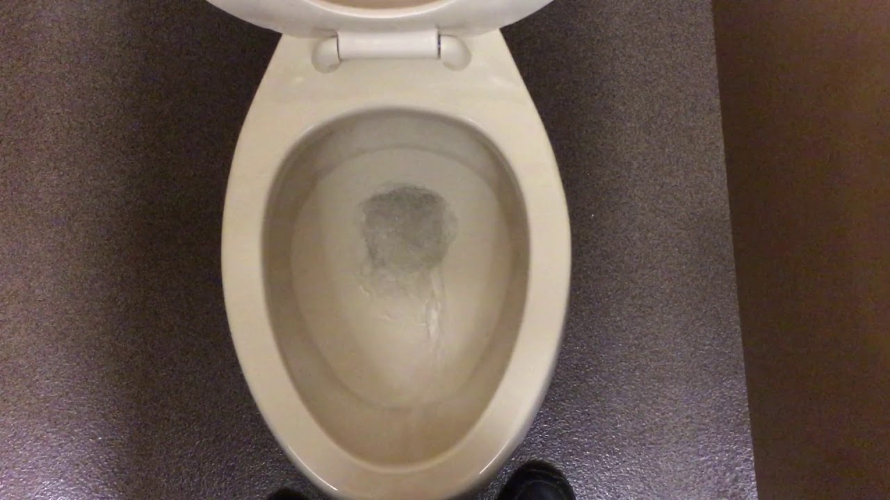🚽 Bathroom Tour Beige Kohler Toilets and Urinals at Food Lion Williamsburg YouTube