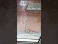Typical #rain