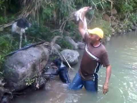 Casando Lapa W
