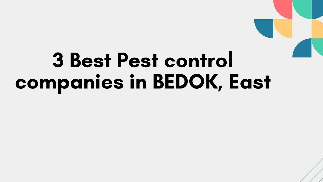 3 Best Pest control companies in BEDOK, East | Pest management firms