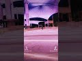 يوم العلم 11مارس