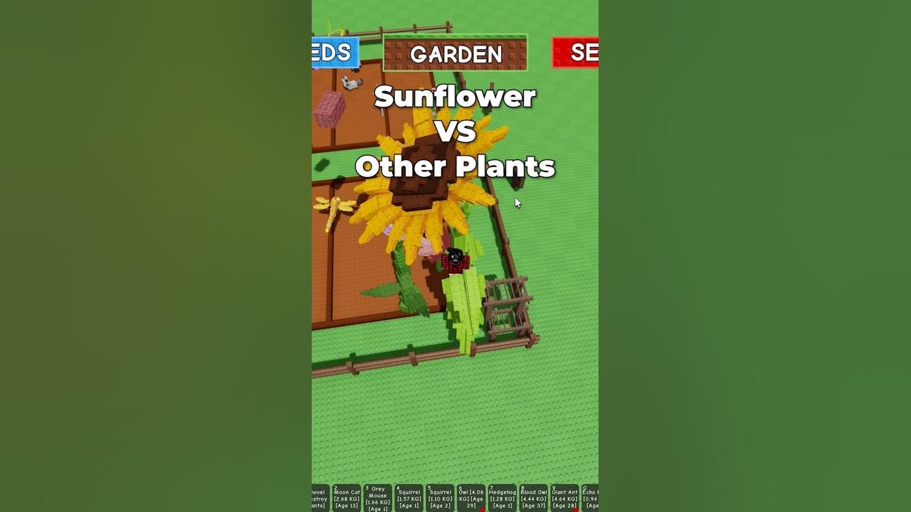 Sunflower New Best Plant in Grow a Garden? #roblox #growagarden Sunflower New Best Plant in Grow a Garden? #roblox #growagarden