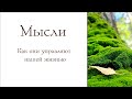 Мысли. Как они управляют нами