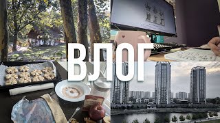 видео: Затишний влог🌤️ ботанічний сад, рутина, котики, випічка картинка: Затишний влог🌤️ ботанічний сад, рутина, котики, випічка