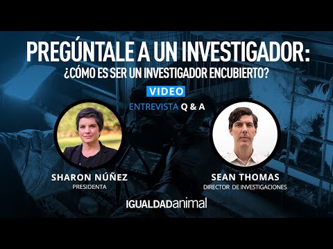 ¿Cómo es ser un INVESTIGADOR ENCUBIERTO contra el MALTRATO ANIMAL?