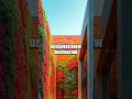 Hidden Frontiers of Modern Architecture