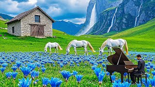 Classical music relaxes the soul and heart - Chopin, Beethoven, Bach, Debussy, Schubert