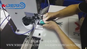 See How the Automatic Terminal Crimping Machine Works!