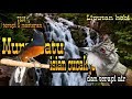 Masteran Murai Batu Isian Cucak Jenggot Dan Terapi Suara Air Mp3 - Mp4 Download