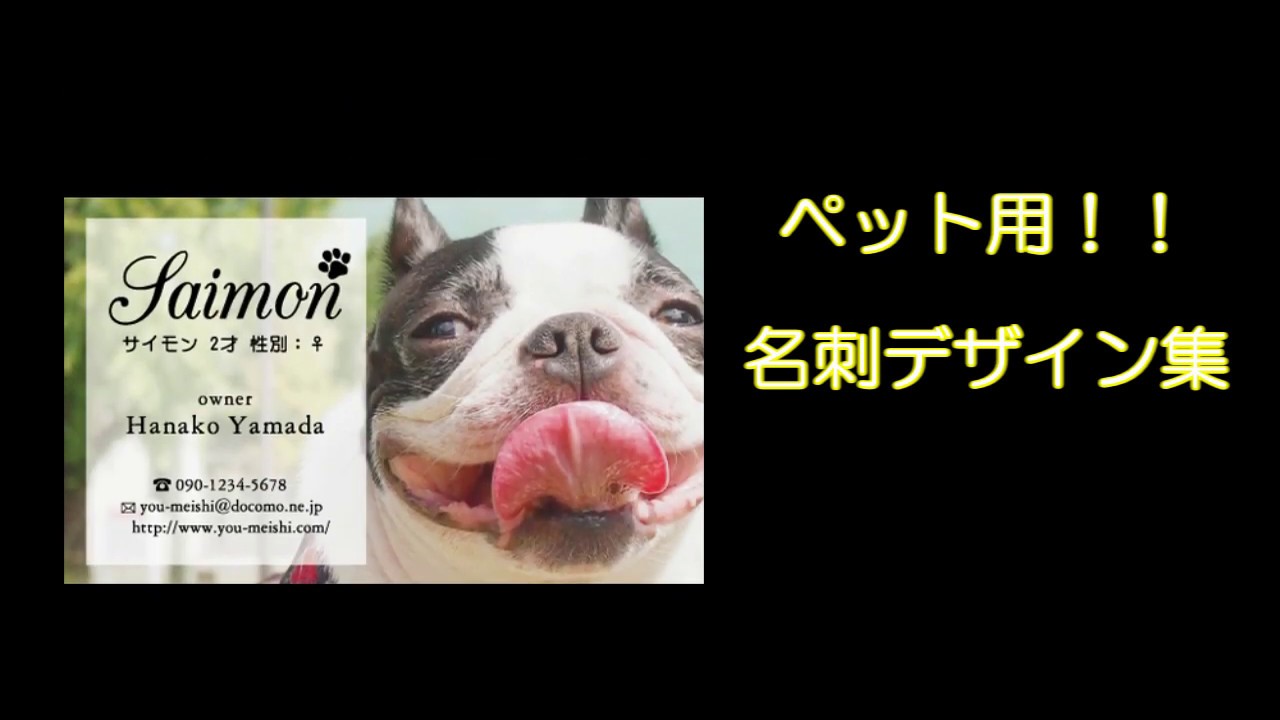 ペット dog003  印刷 作成 100枚  最新入荷 カラーデザイン名刺 ショップカード  ロゴ入れ可 犬 動物