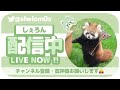 デュオランクカップ配信！w/ Tayler 【フォートナイト】