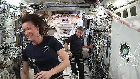 STEMonstrations Moment of Inertia