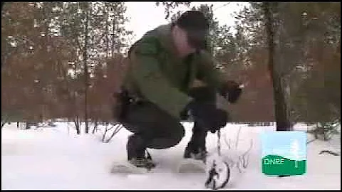 Q1 Buck Pole: Becoming a Conservation Officer