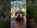 розыгрыш винта