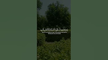 ومن آياته أن تقوم السماء والأرض بأمره /سورة الروم |الشيخ ياسر الدوسري