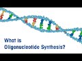 What is Oligonucleotide Synthesis? – Overview Video – METTLER TOLEDO - EN