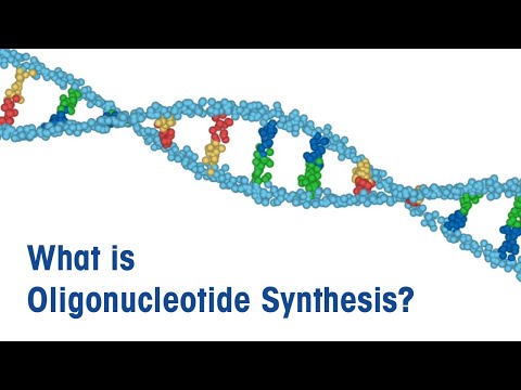 Видео: Разлика между олигонуклеотид и полинуклеотид