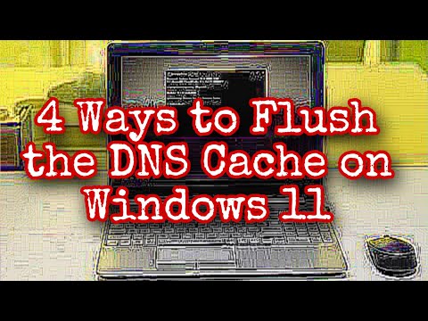 4 Ways to Flush the DNS Cache on Windows 11