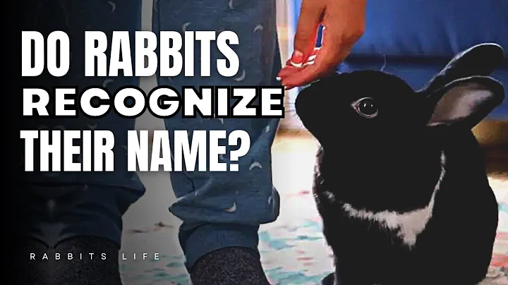 Do Rabbits Really Know Their Names? Find Out Now!