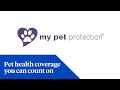 My pet protection  employees  petsnationwidecom