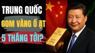 Trung Quốc Ồ ẠT Gom Vàng – Liệu 5 THÁNG TỚI Sẽ Chứng Kiến CHU KỲ MỚI? | ĐƯỜNG TỚI THÀNH CÔNG