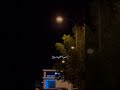 ياحبيبي لاتخليني وتروح عبدالله ال فروان حصريا Shorts 