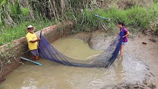 SECANDO O POÇO E PEGANDO SURUBIM, PANGAÇO E TILÁPIA + LIMPEZA DO POÇO