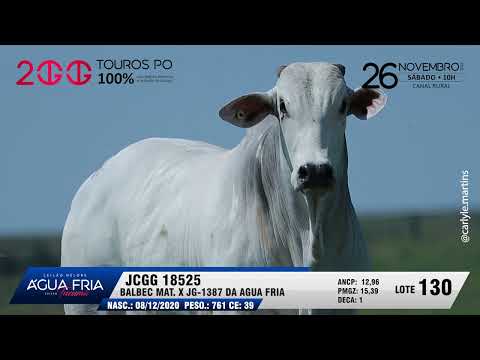 LOTE 130   JCGG18525