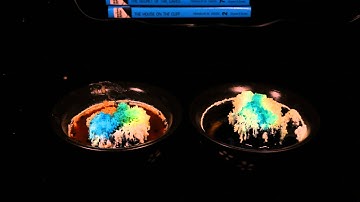 Salt Crystal Garden Time Lapse Natural vs Manufactured Charcoal