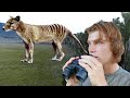 Extinct tasmanian tiger thylacine sighting in australia part 2