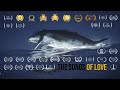 The songs of Love  ( Paganel Studio ) 2019 HD