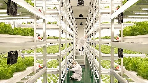 farming is science. process of growing fresh vegetables by Korean scientists.