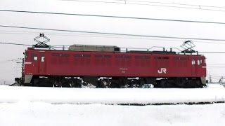 EF81 134 長岡へ単機回送