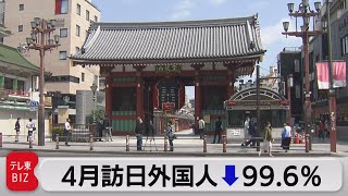 訪日外国人客99％減少（2021年5月19日）